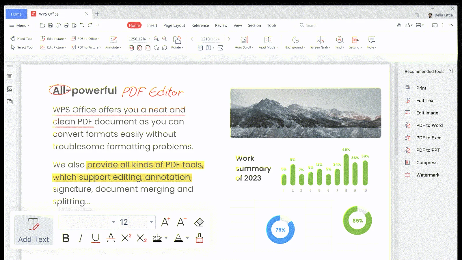 WPS PDF on Windows with reading, annotation, and conversion controls.