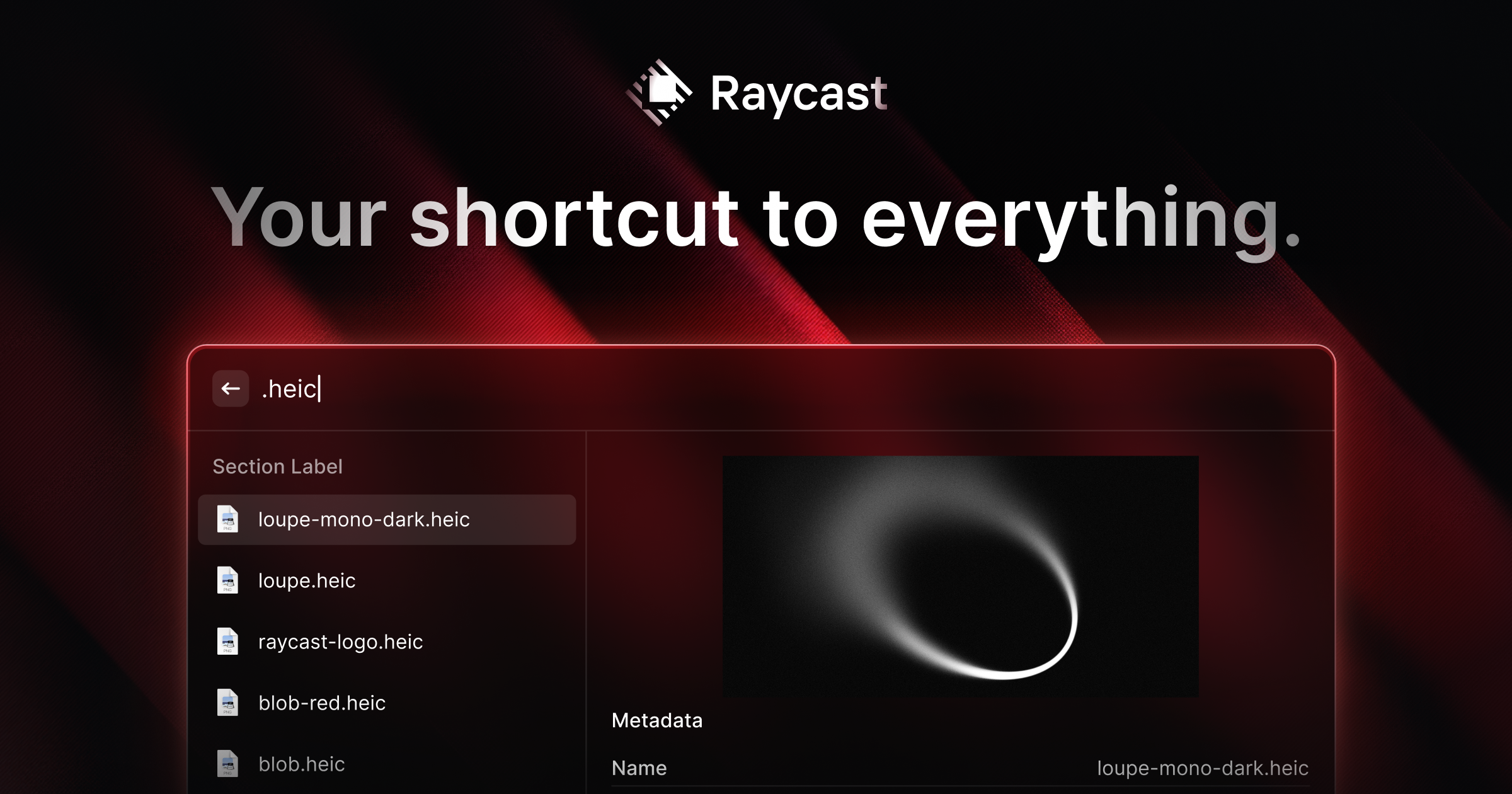 Raycast official vendor media